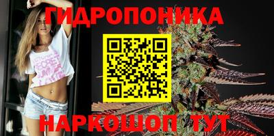 кокс Нальчик
