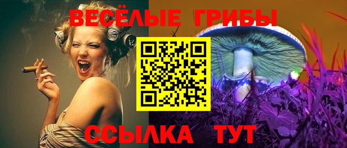 Псилоцибиновые грибы Cubensis  Вход с VPN  Торжок  Псилоцибиновые грибы мухоморы 